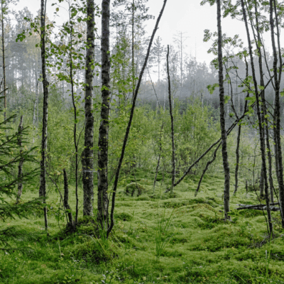 Who Is in Control of This World? Finding Hope